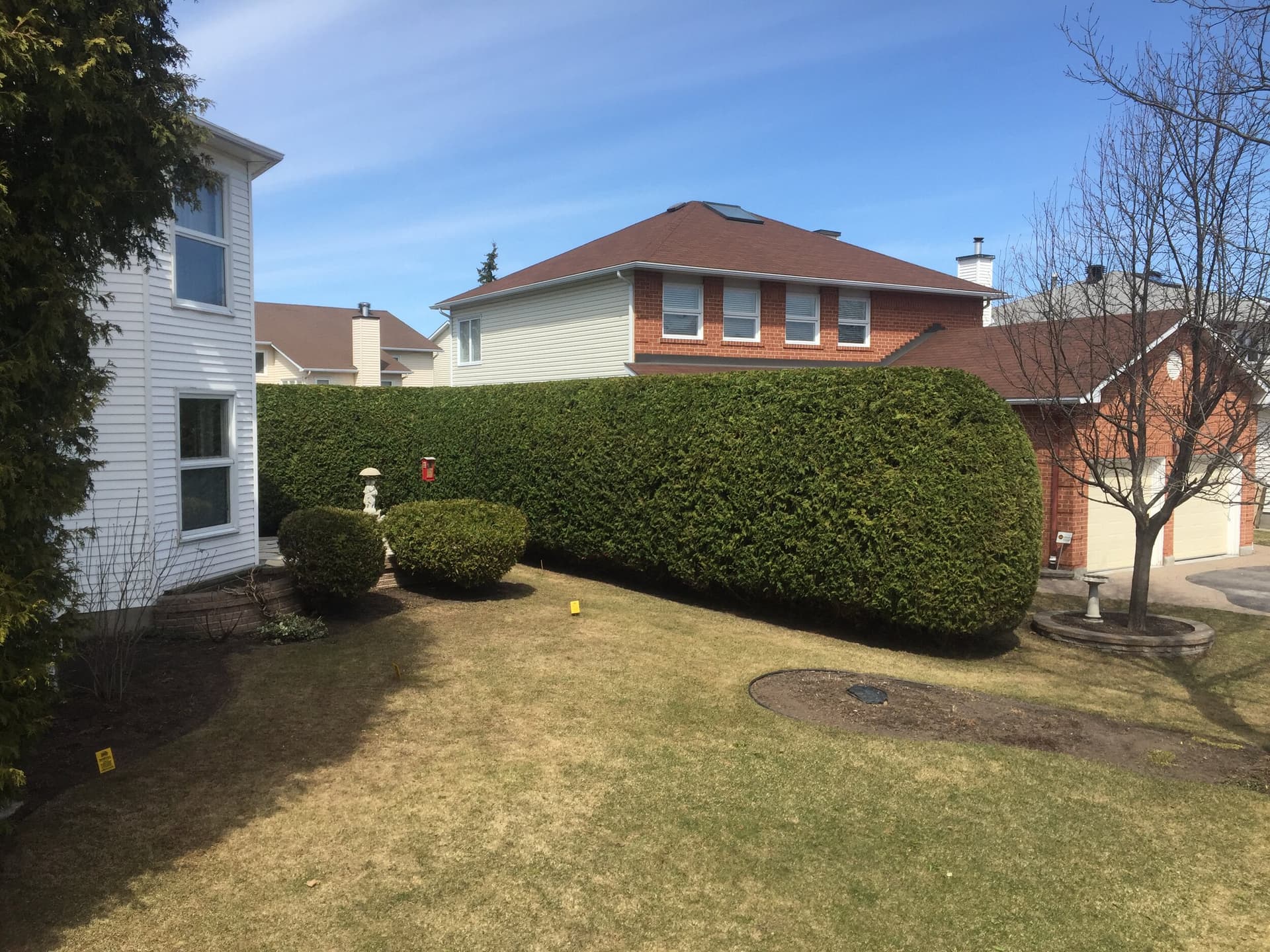 Seasonal hedge preparation