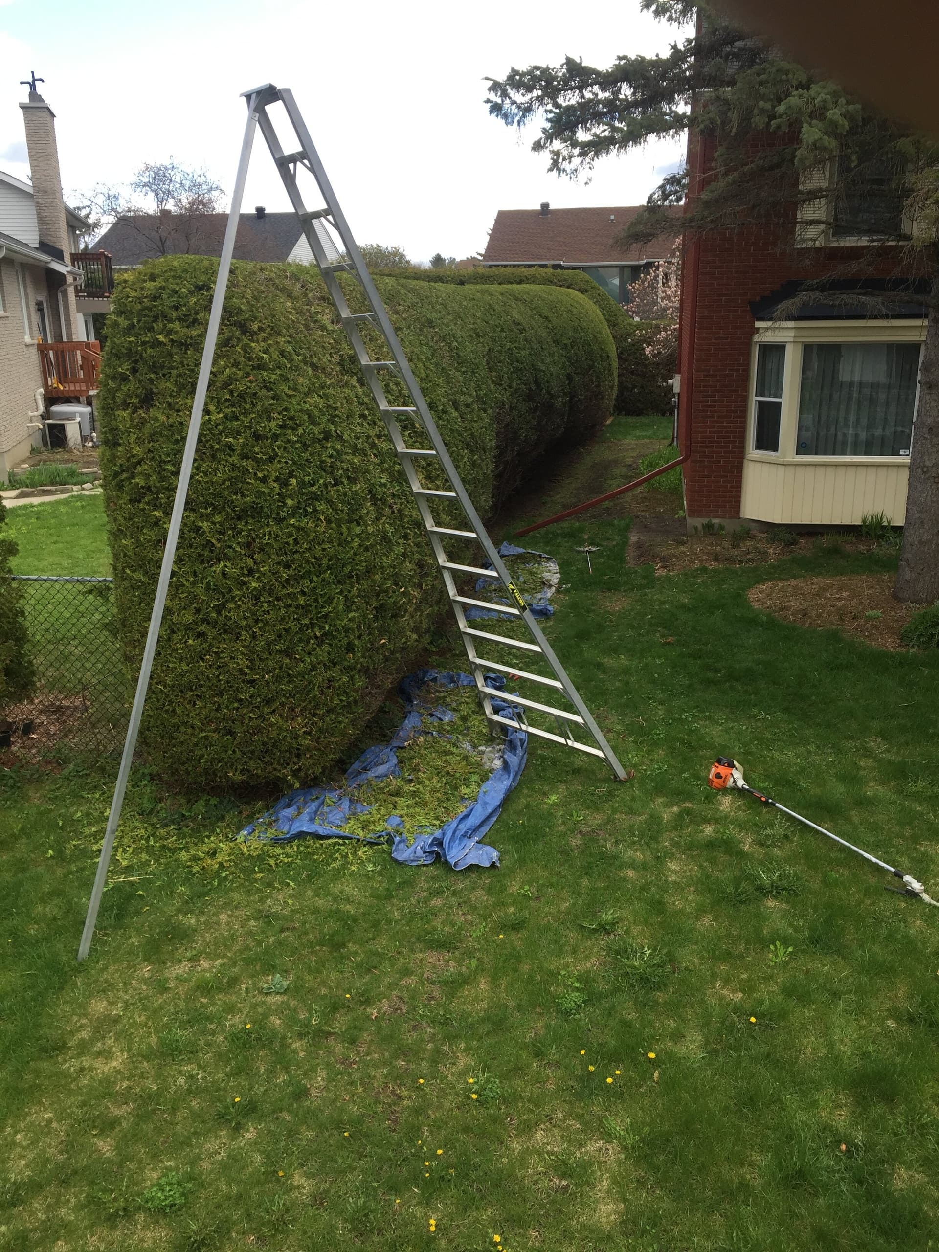 Professional landscape maintenance