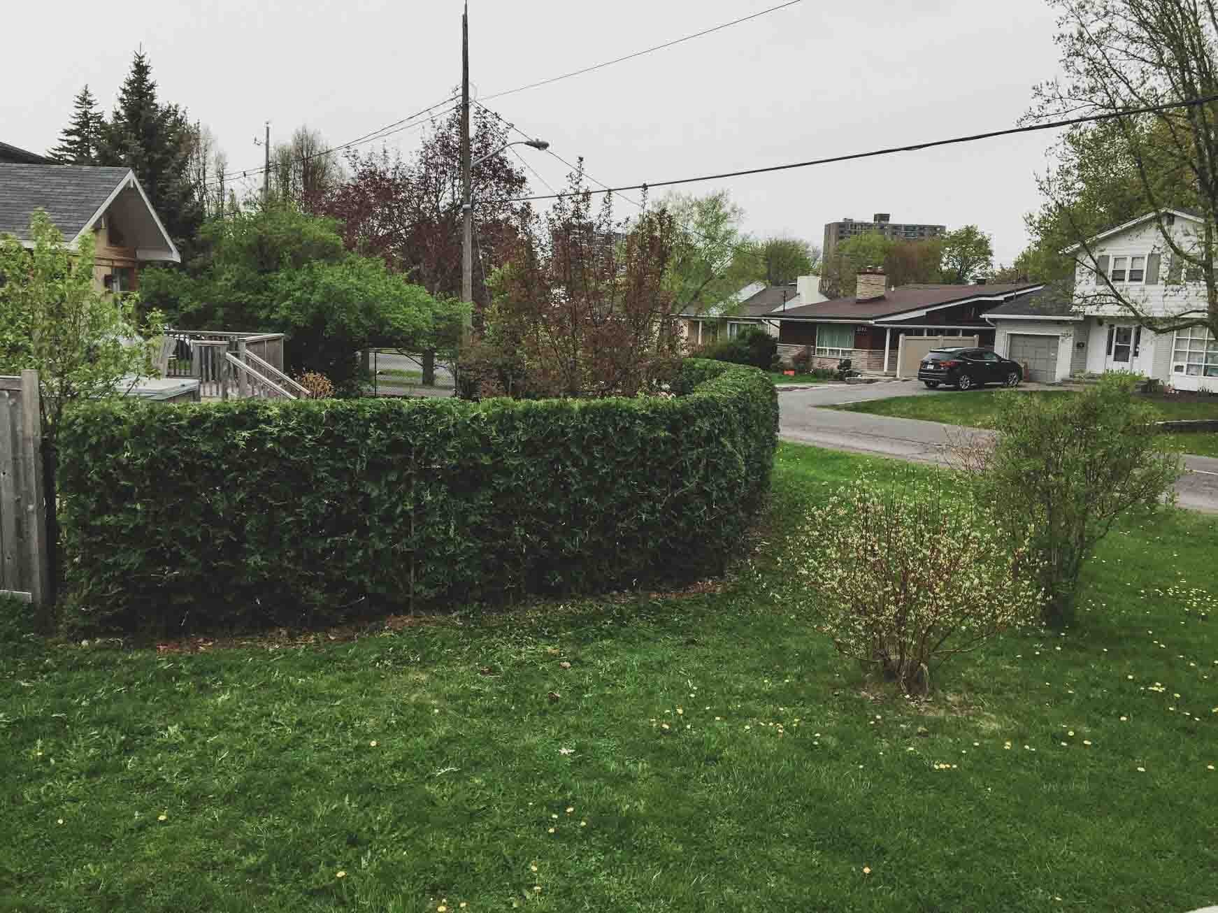 Corner hedge cleanup