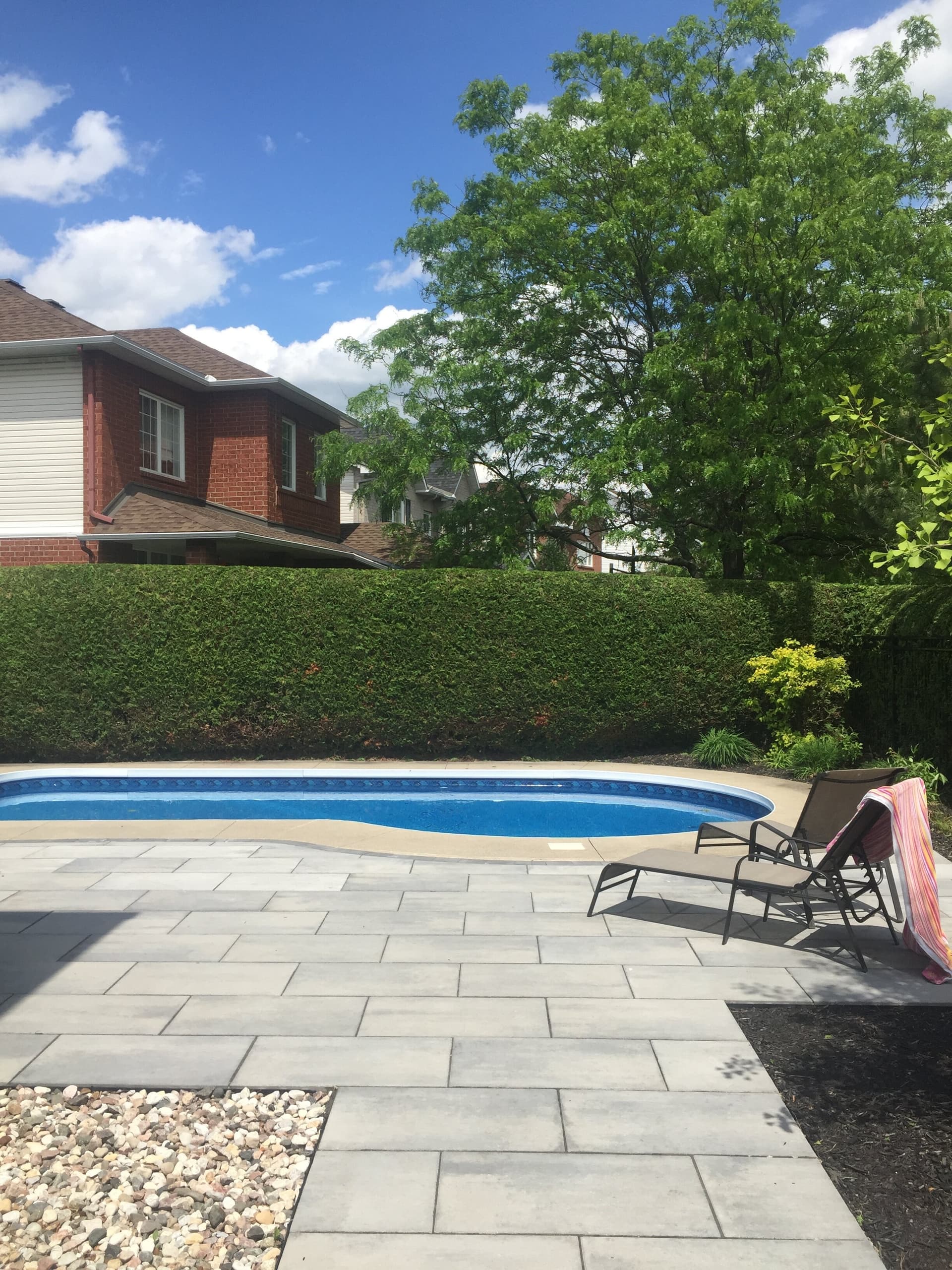 Lush trimmed hedge in backyard